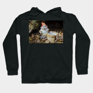 Woodland Gnome 8 Hoodie